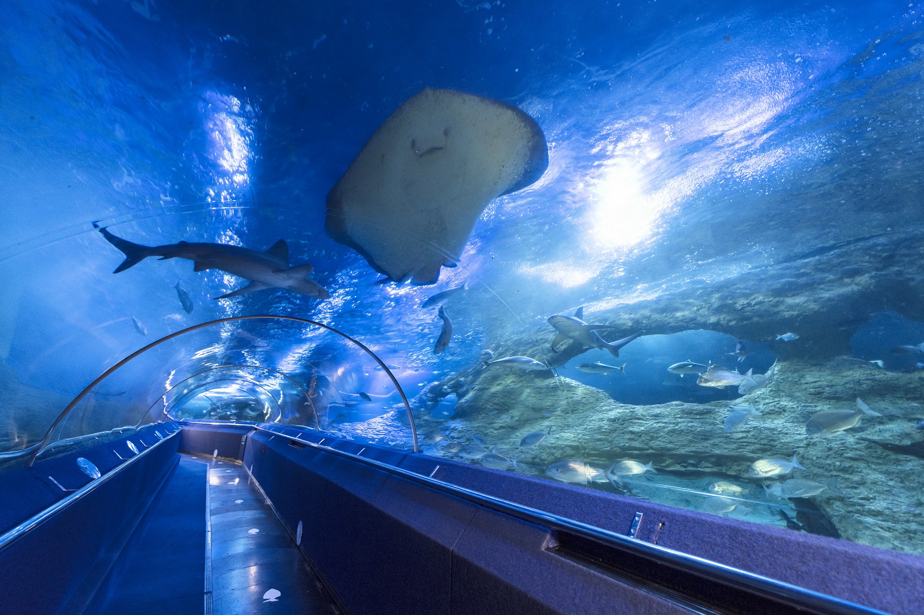 100 metre Underwater Tunnel
